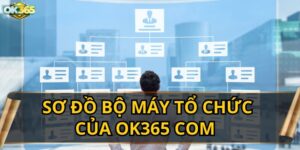 Sơ Đồ Bộ Máy Tổ Chức Của OK365 COM 
