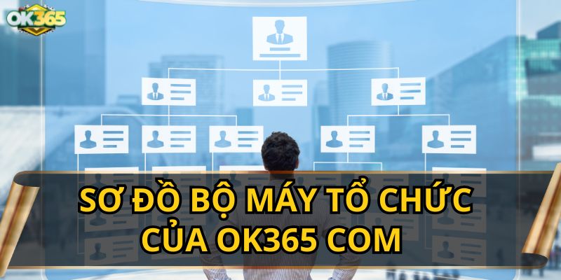 Sơ Đồ Bộ Máy Tổ Chức Của OK365 COM 